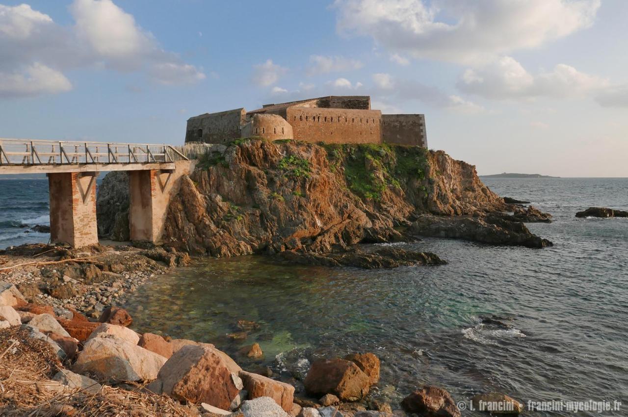 Bel Appart Renove - La Boheme Hyères Exteriér fotografie